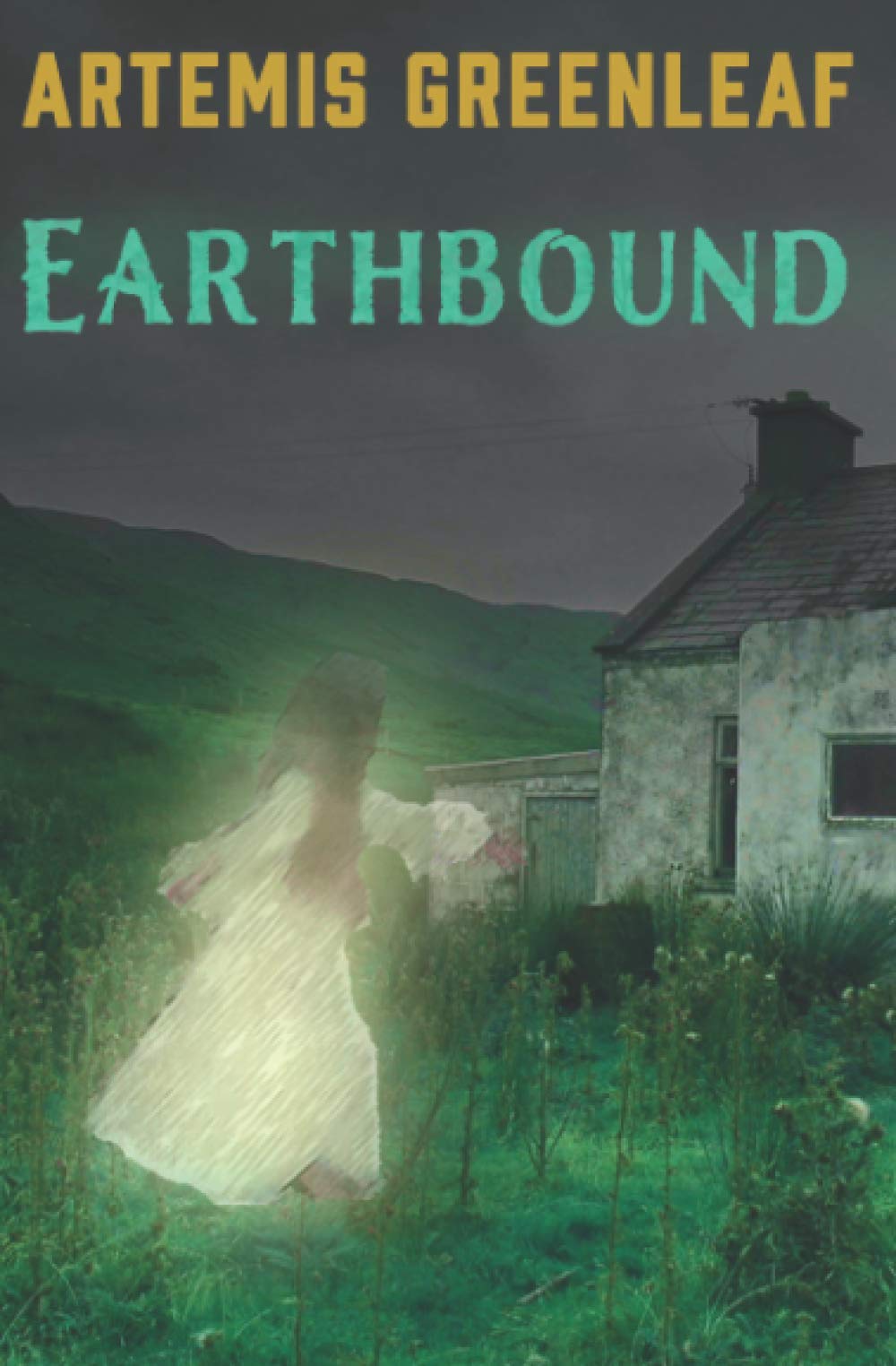 Earthbound,Used