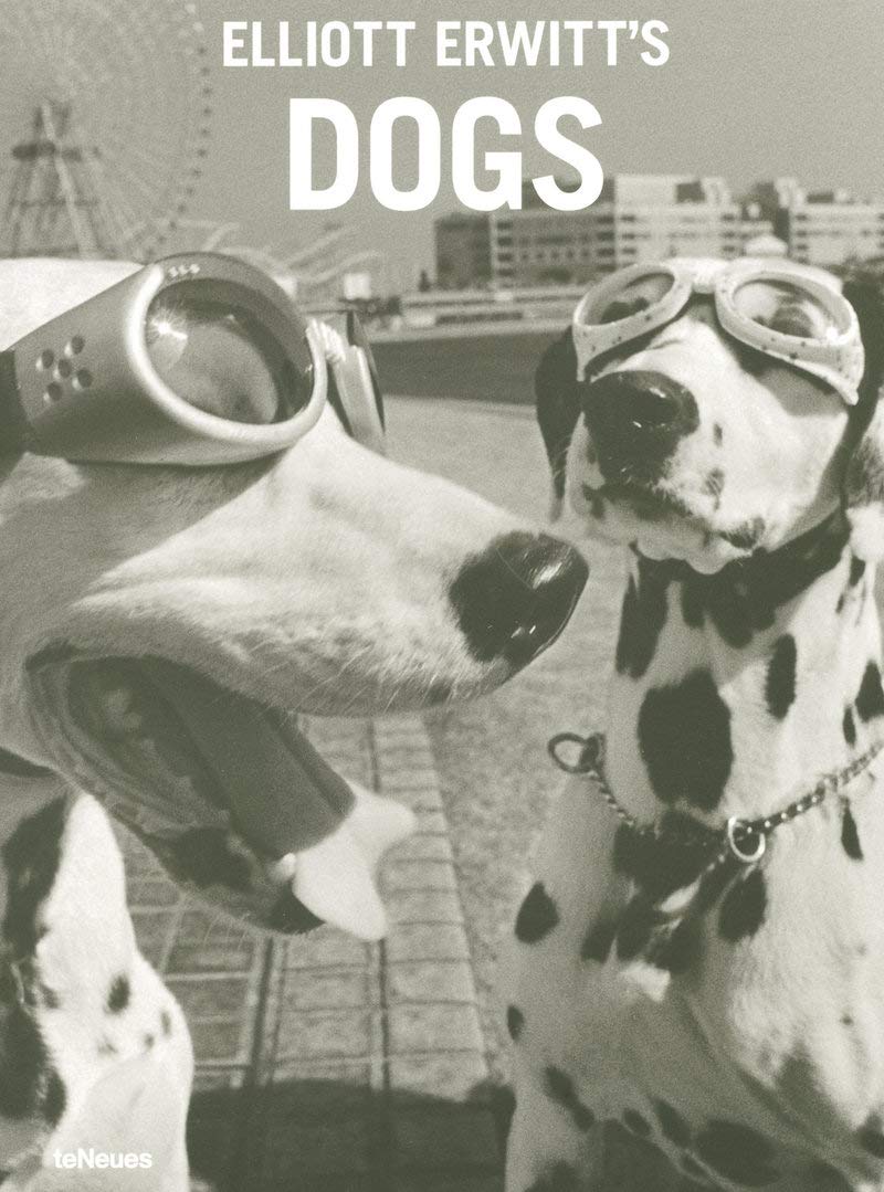 Elliott Erwitt'S Dogs