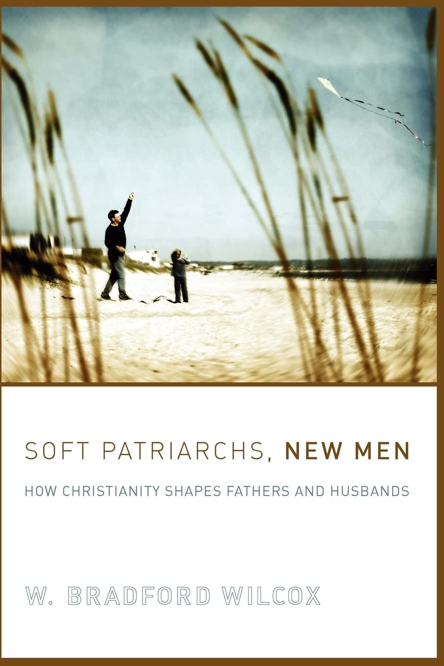Soft Patriarchs, New Men: How Christianity Shapes Fathers and Husbands (Morality and Society Series),New
