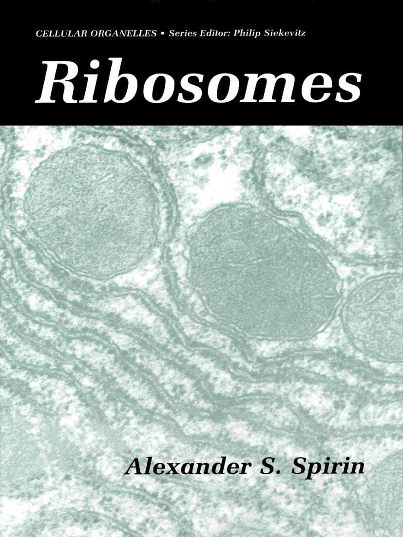 Ribosomes (Cellular Organelles),New