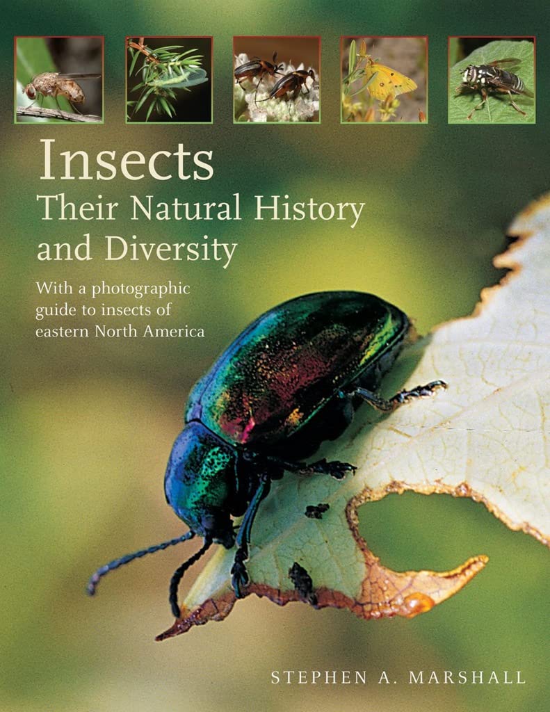 Insects: Their Natural History And Diversity: With A Photographic Guide To Insects Of Eastern North America