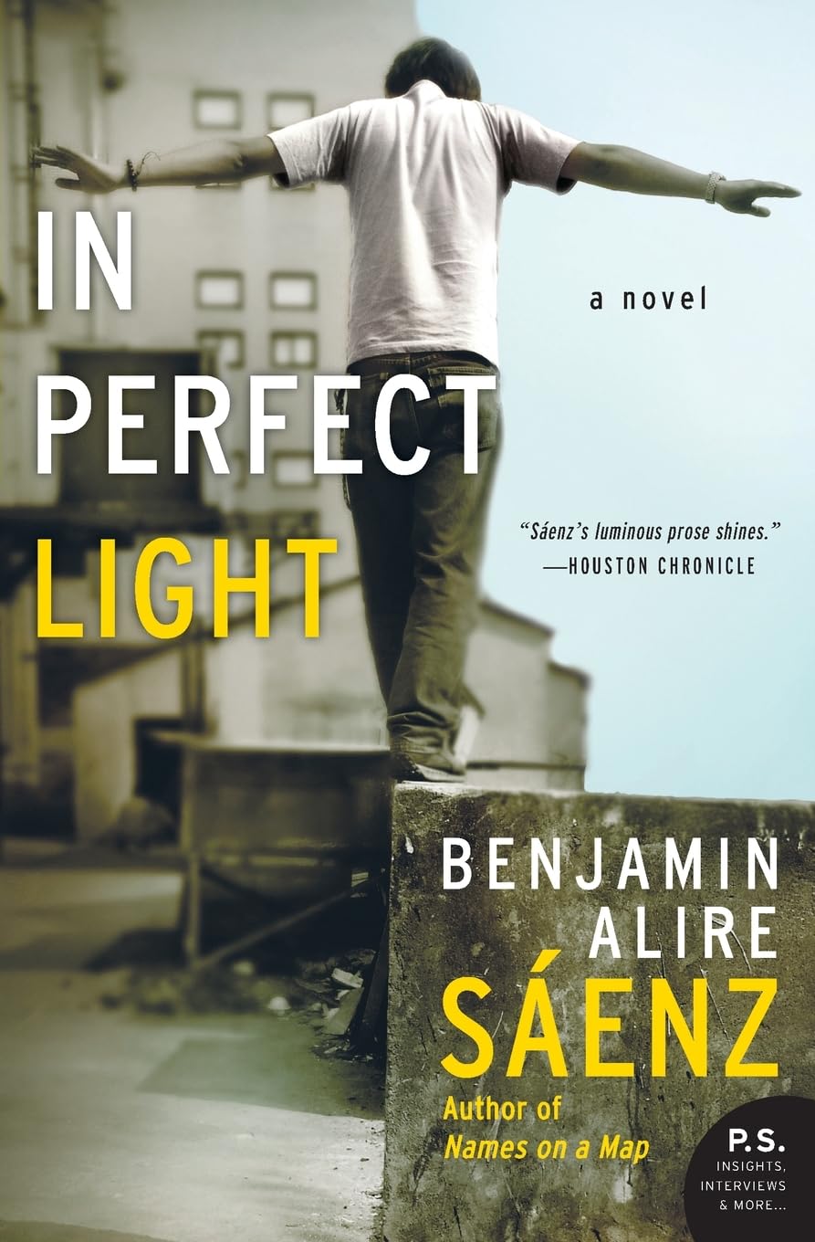 In Perfect Light: A Novel,Used