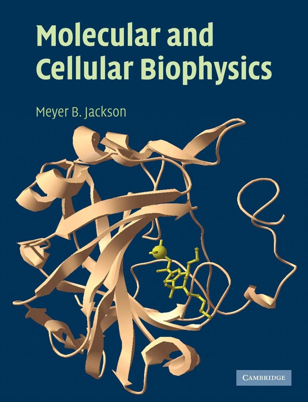 Molecular and Cellular Biophysics,Used