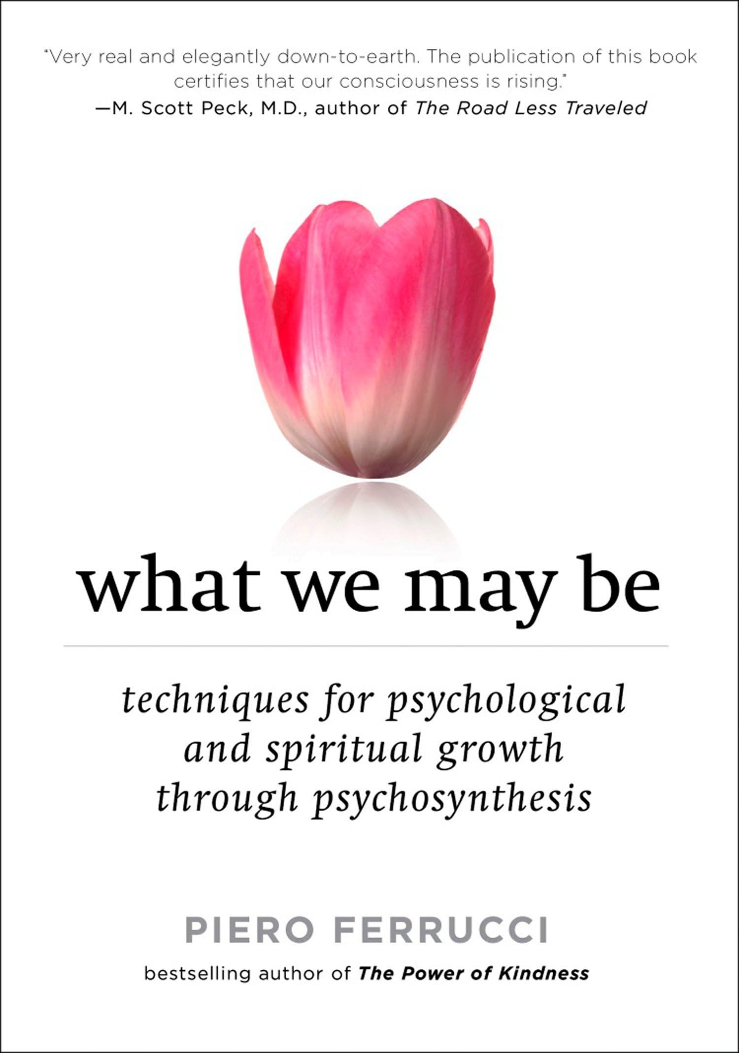 What We May Be: Techniques for Psychological and Spiritual Growth Through Psychosynthesis,New