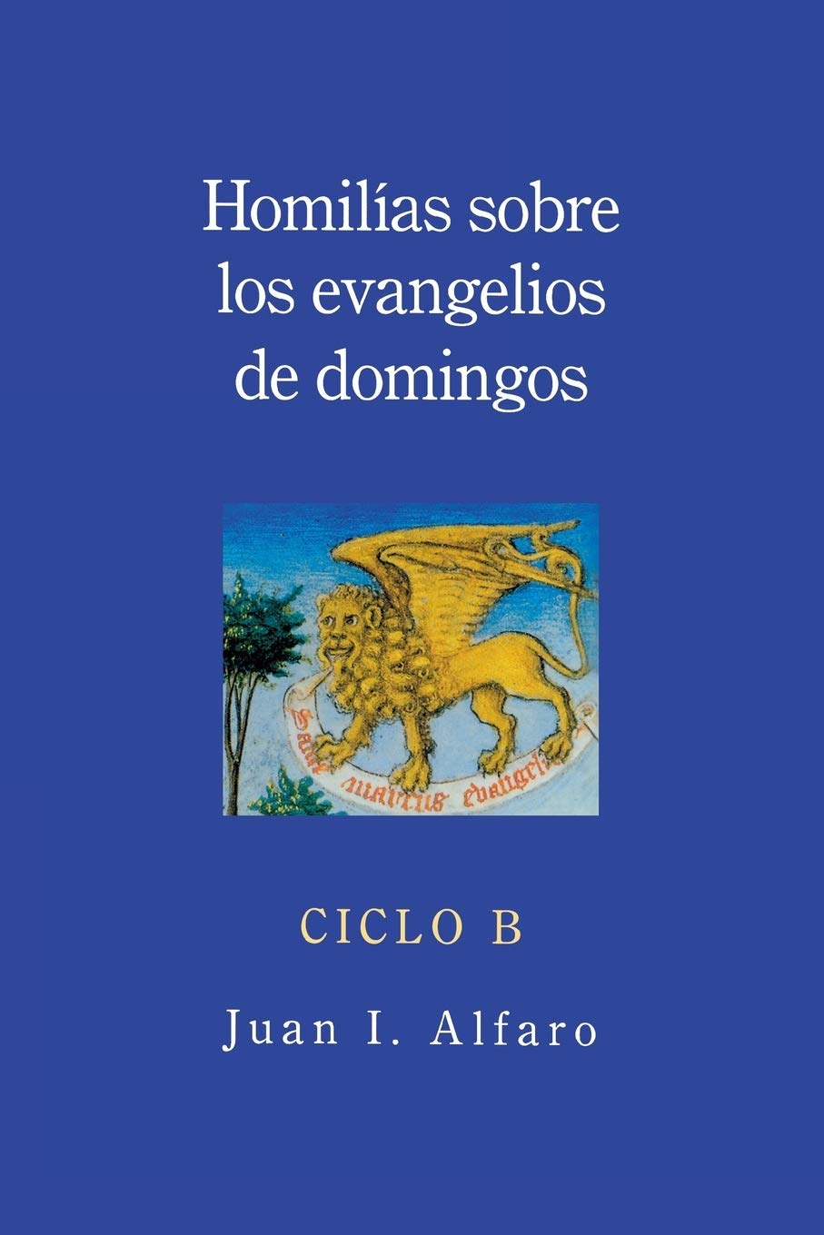 Homilias Sobre Los Evangelios De Domingos: Ciclo B (Spanish Edition),Used