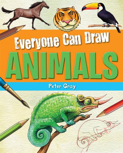 Everyone Can Draw Animals,Used