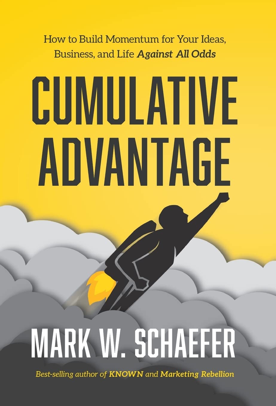 Cumulative Advantage: How to Build Momentum for Your Ideas, Business and Life Against All Odds,Used