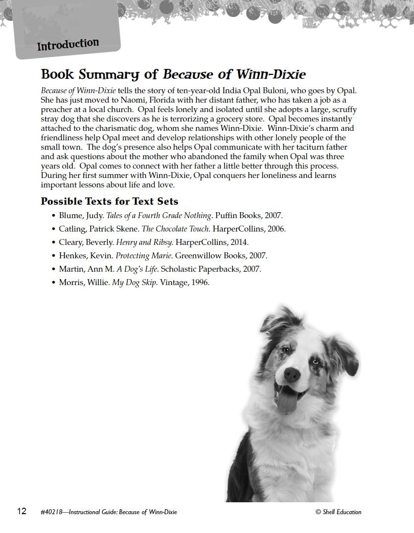 Because of WinnDixie: An Instructional Guide for Literature  Novel Study Guide for Elementary School Literature with Close Rea,Used