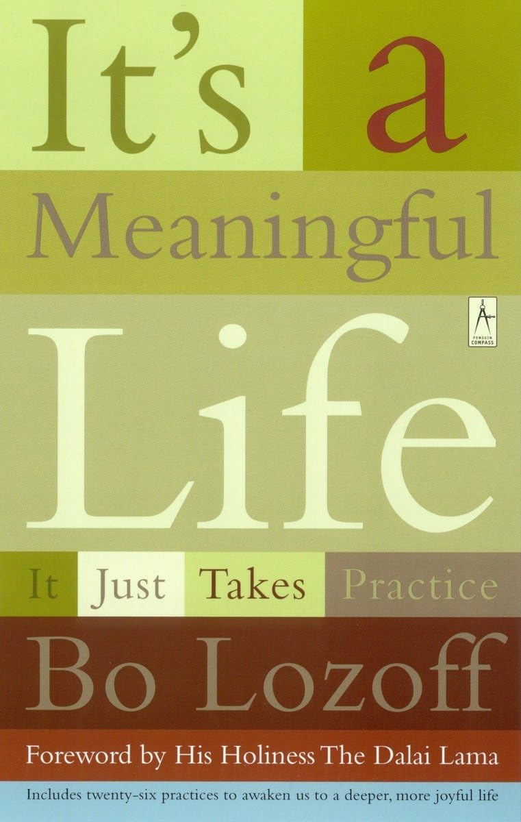 It's a Meaningful Life: It Just Takes Practice,Used