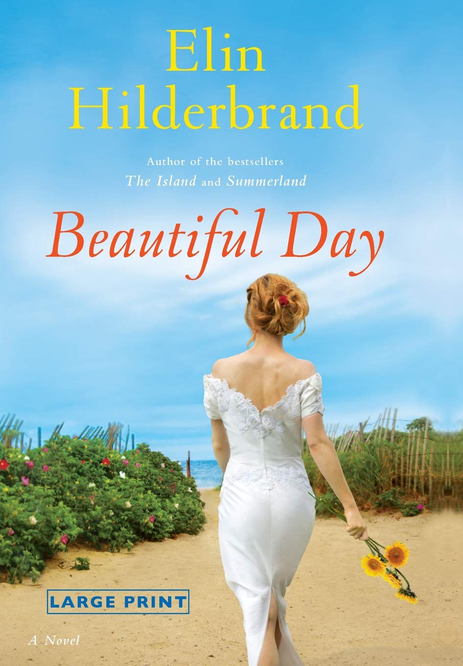 Beautiful Day: A Novel,New