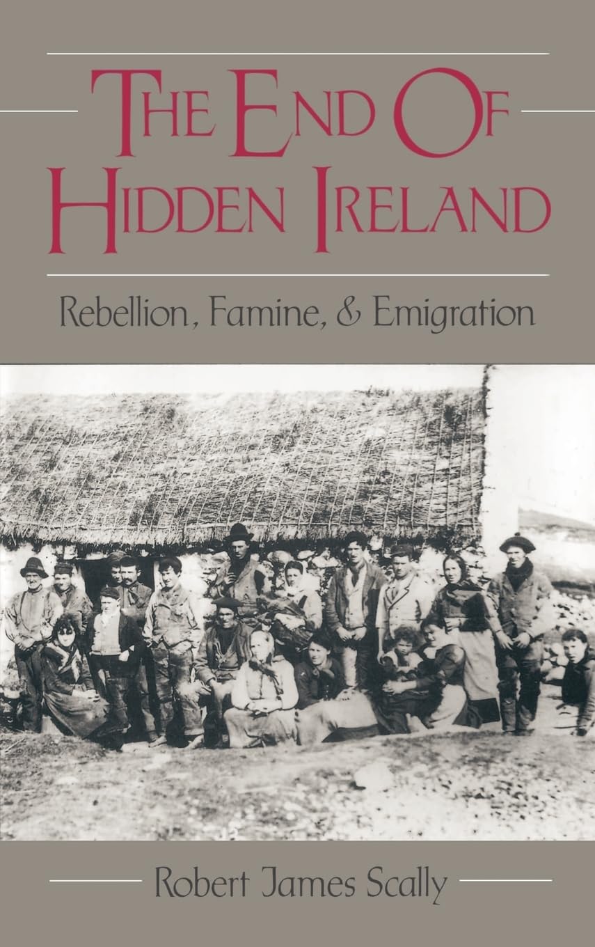 The End Of Hidden Ireland: Rebellion, Famine, And Emigration,New