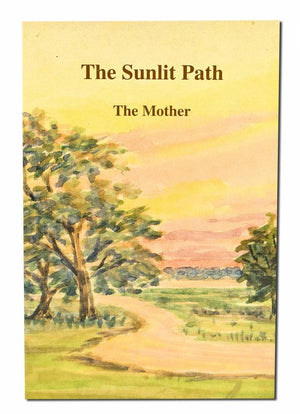 Sunlit Path,Used