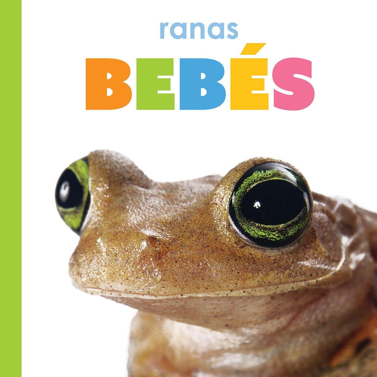 Ranas Bebs (Spanish Edition)