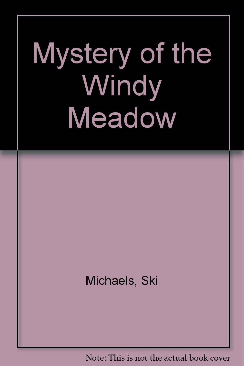 Mystery of the Windy Meadow,Used