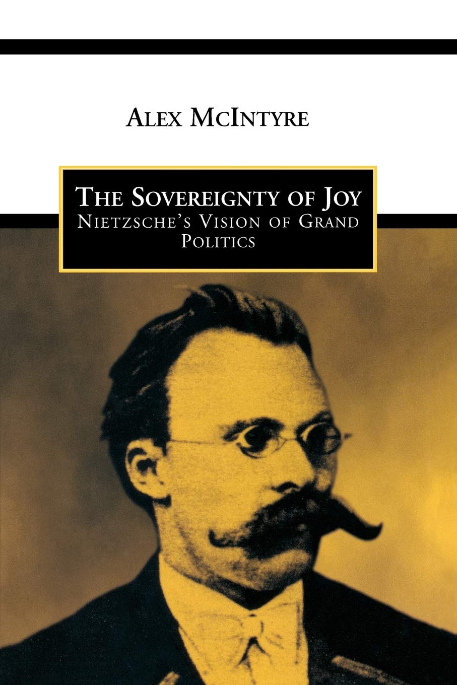 The Sovereignty of Joy: Nietzsche's Vision of Grand Politics (Toronto Studies in Philosophy),Used