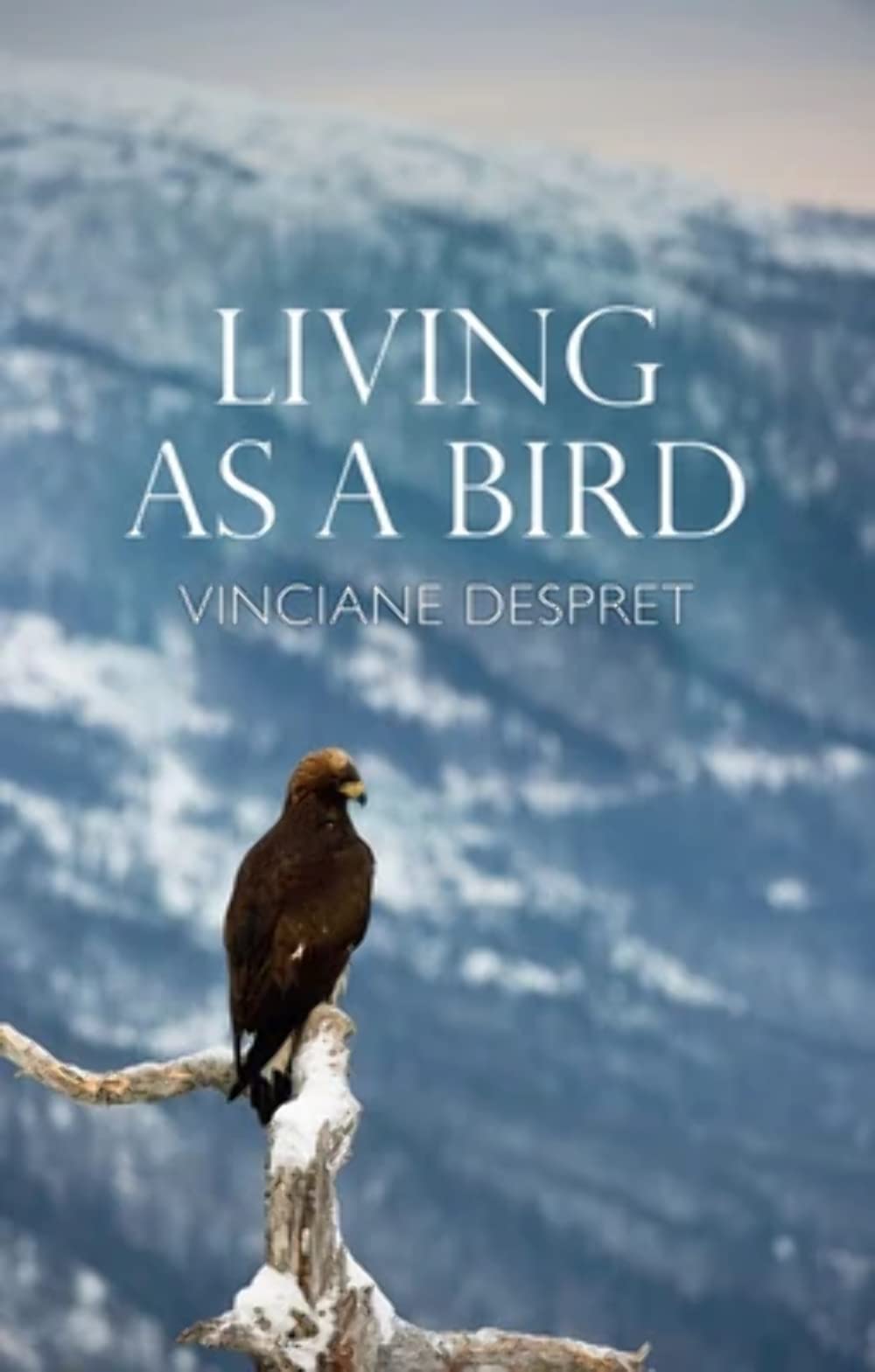 Living As a Bird,New