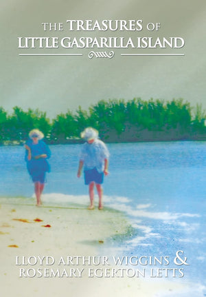 The Treasures Of Little Gasparilla Island,Used