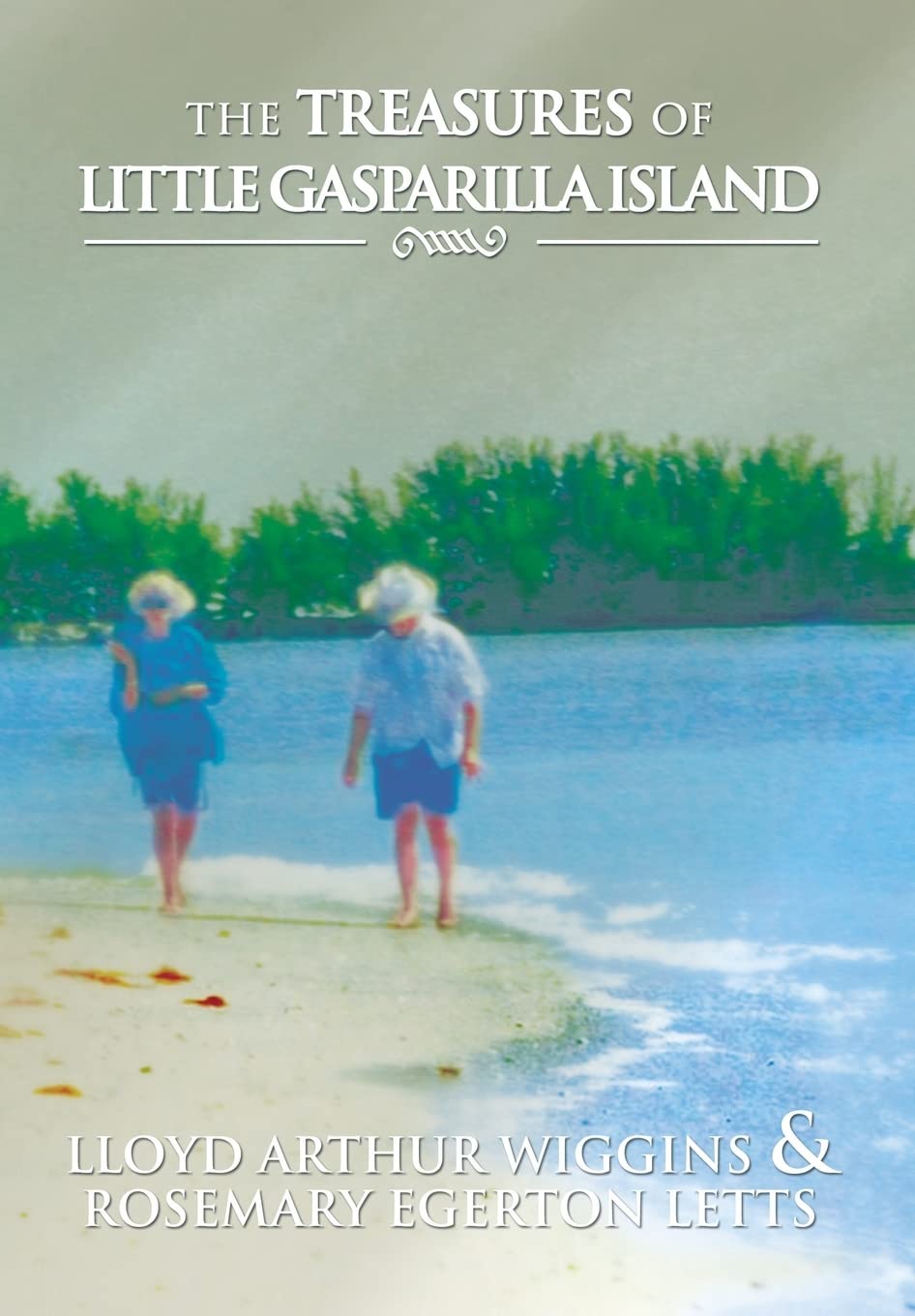 The Treasures Of Little Gasparilla Island,Used