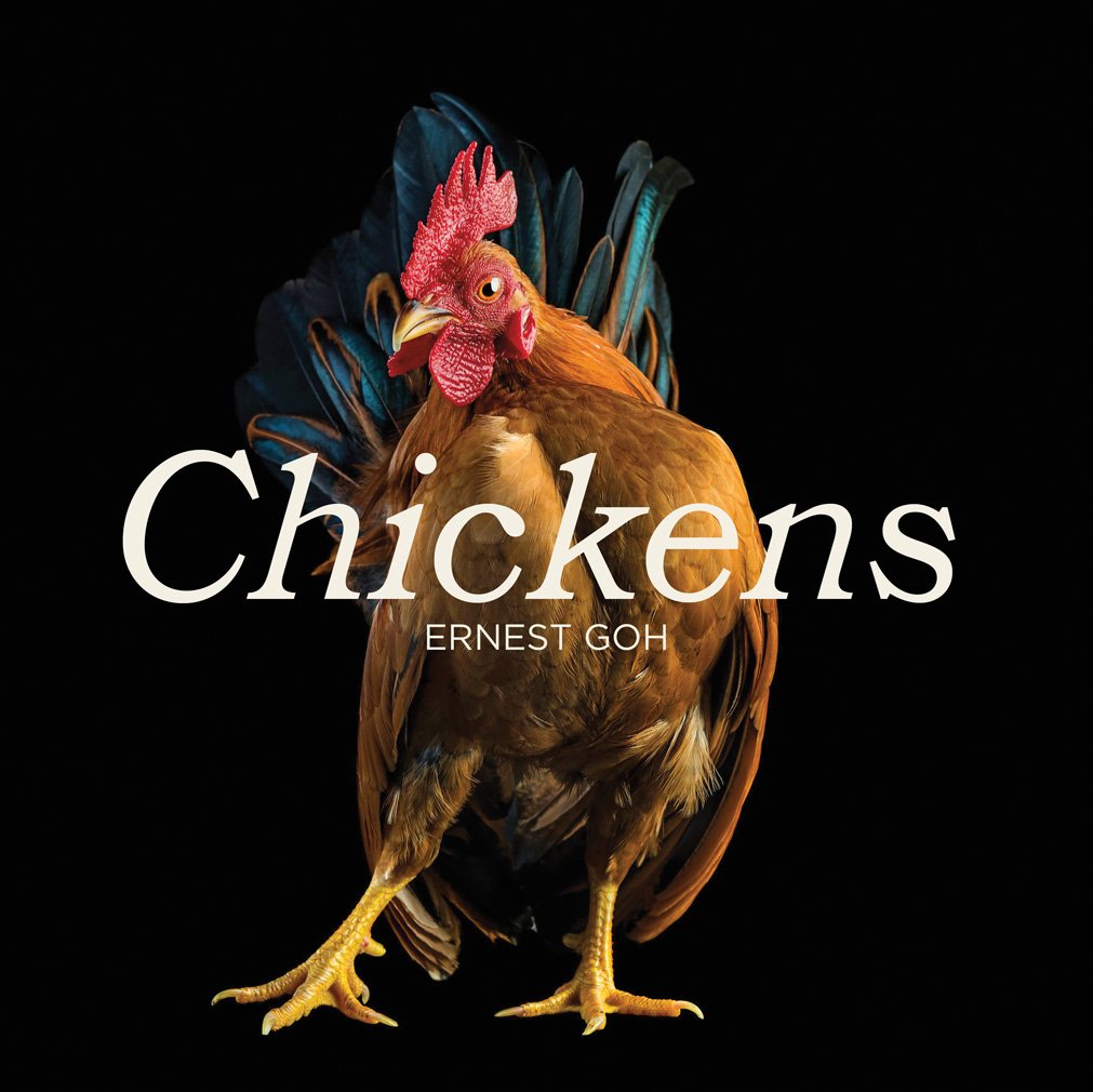 Chickens,Used