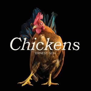 Chickens,Used