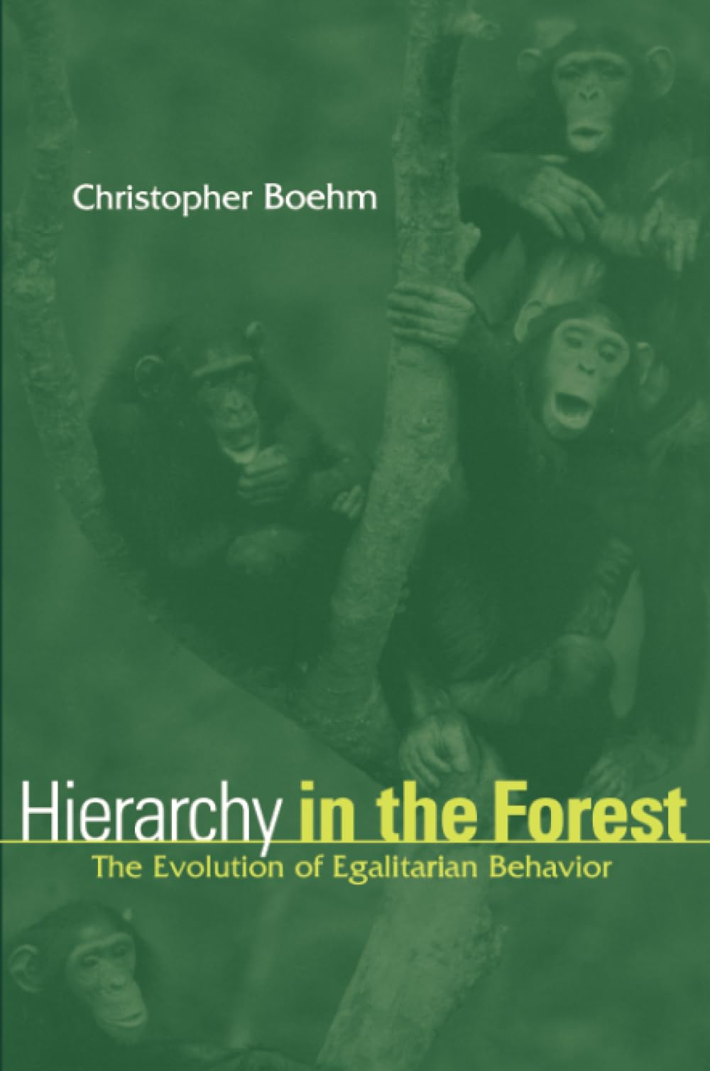 Hierarchy In The Forest: The Evolution Of Egalitarian Behavior,Used