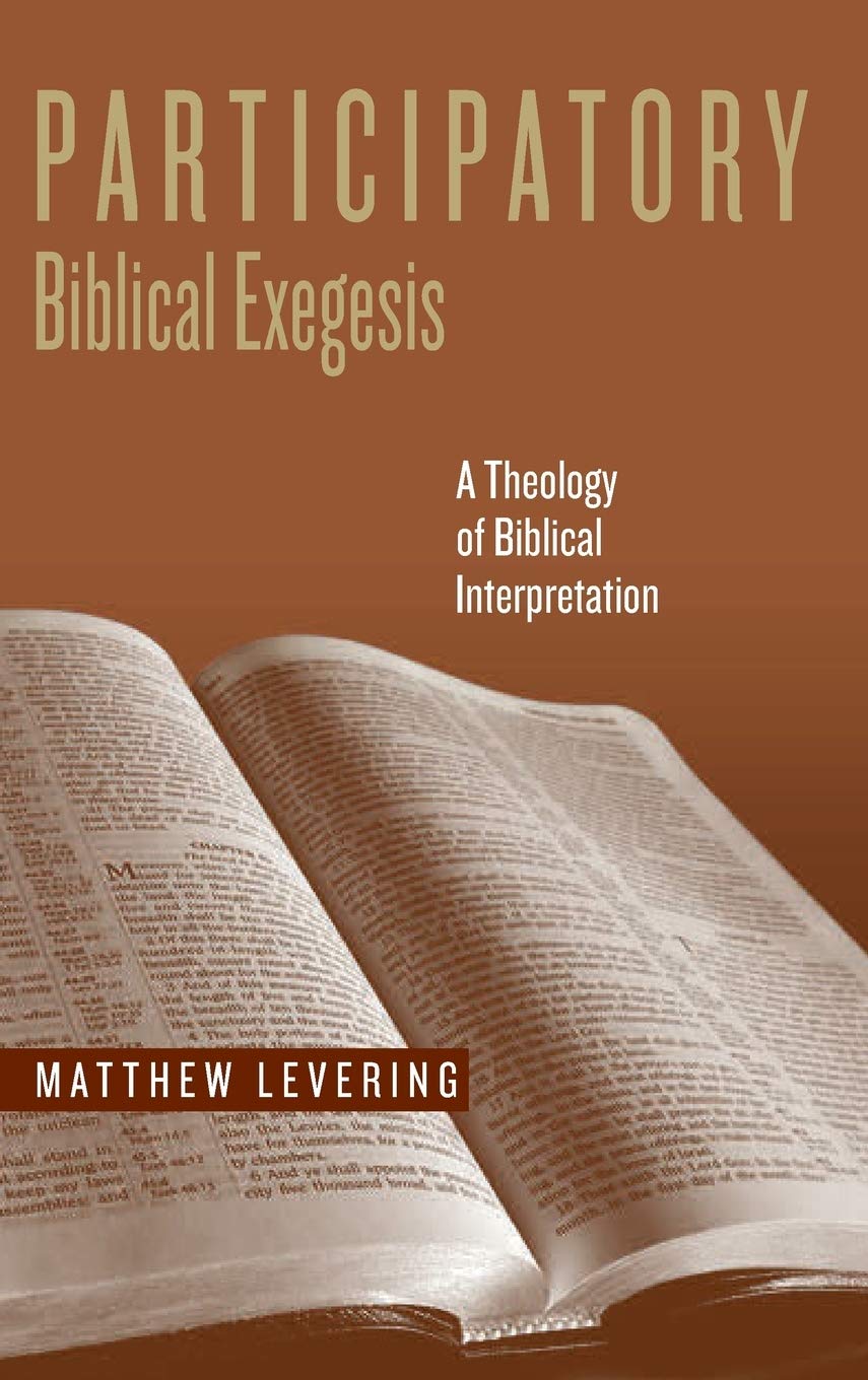 Participatory Biblical Exegesis: A Theology of Biblical Interpretation (Reading the Scriptures),Used