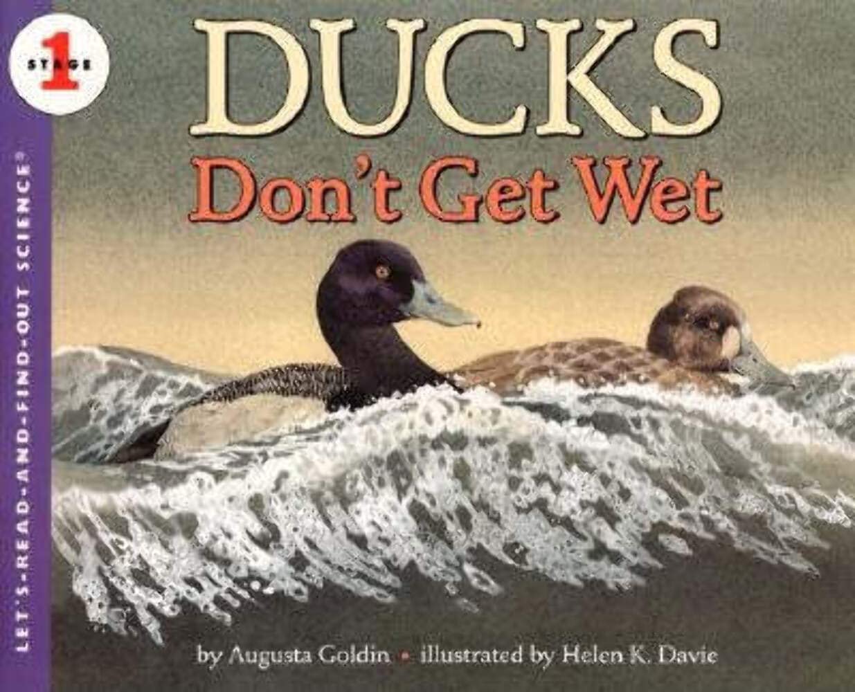 Ducks Don'T Get Wet,New