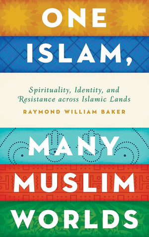 One Islam, Many Muslim Worlds: Spirituality, Identity, and Resistance across Islamic Lands (Religion and Global Politics)