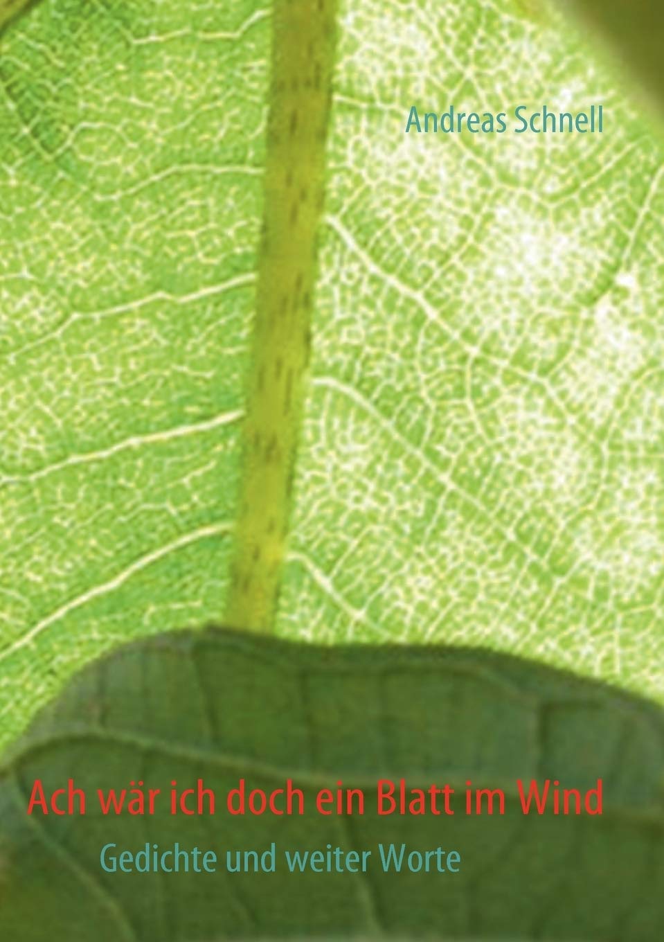 Ach wr ich doch ein Blatt im Wind: Gedichte und weiter Worte (German Edition),Used