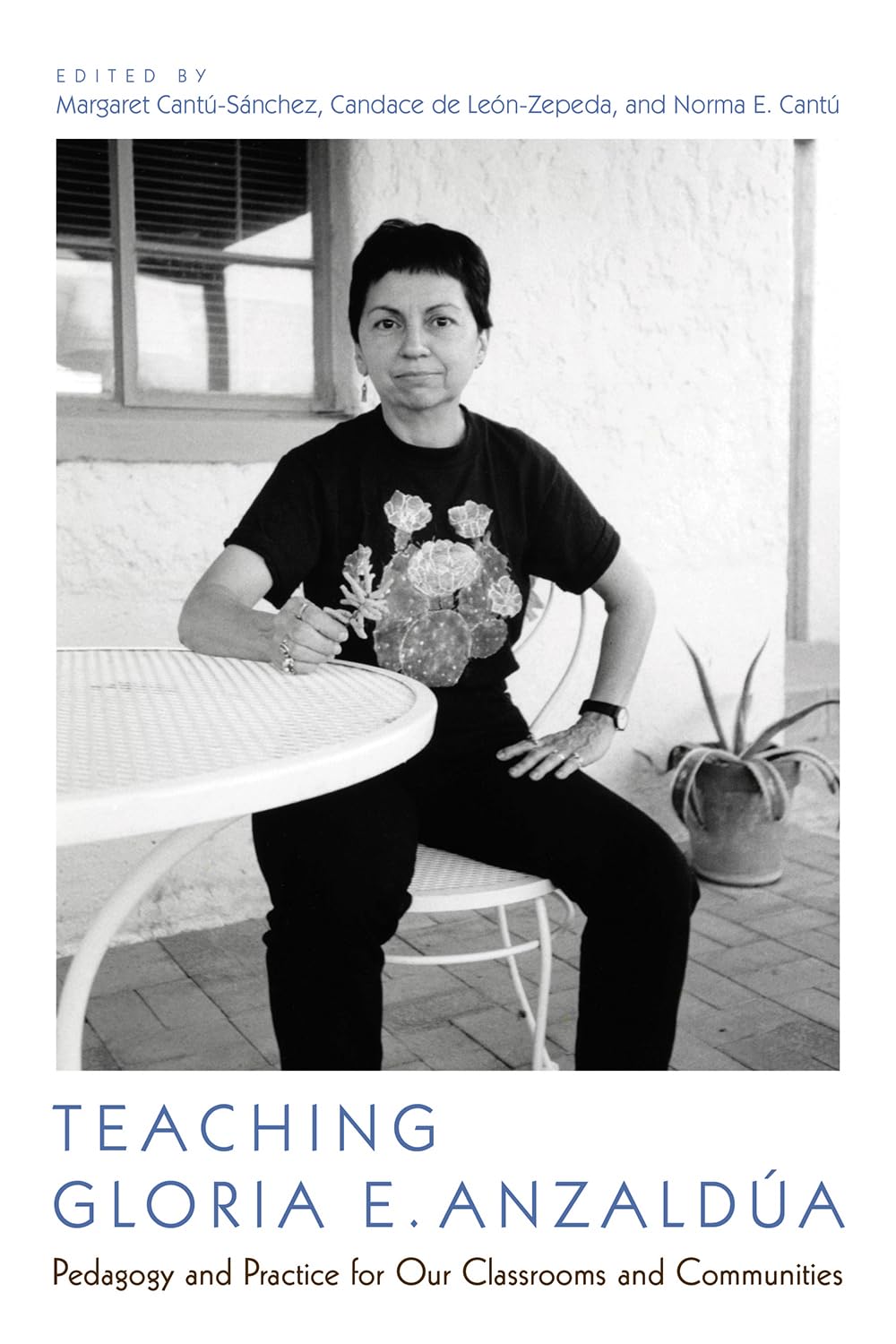 Teaching Gloria E. Anzalda: Pedagogy And Practice For Our Classrooms And Communities,Used