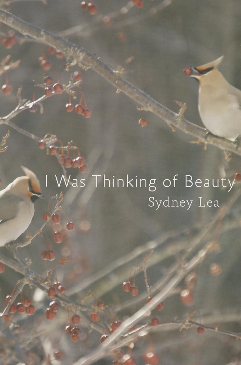 I Was Thinking of Beauty,Used