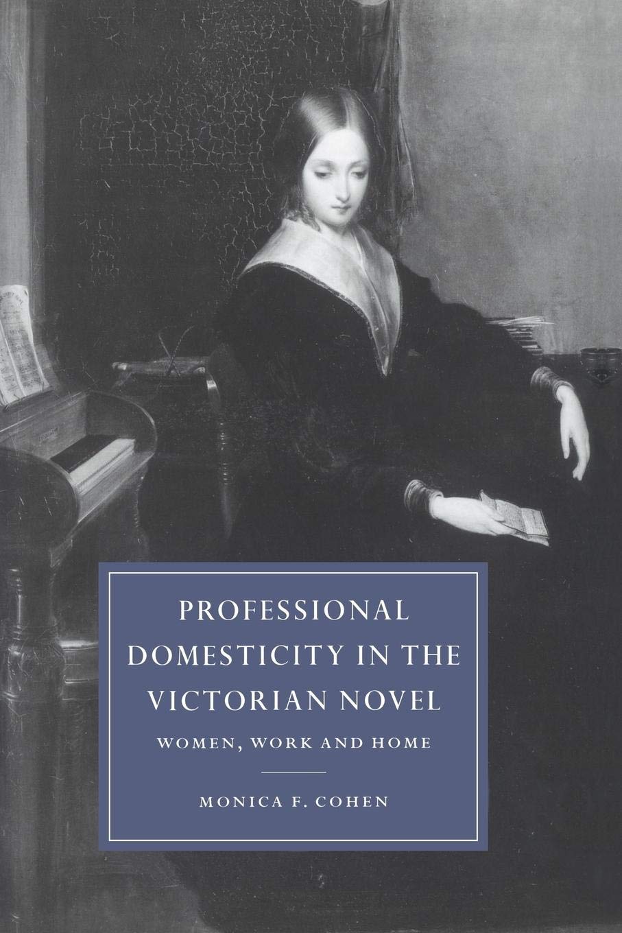 Professional Domesticity in the Victorian Novel: Women, Work and Home (Cambridge Studies in NineteenthCentury Literature and Cu,Used