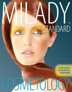 Study Guide: The Essential Companion,New