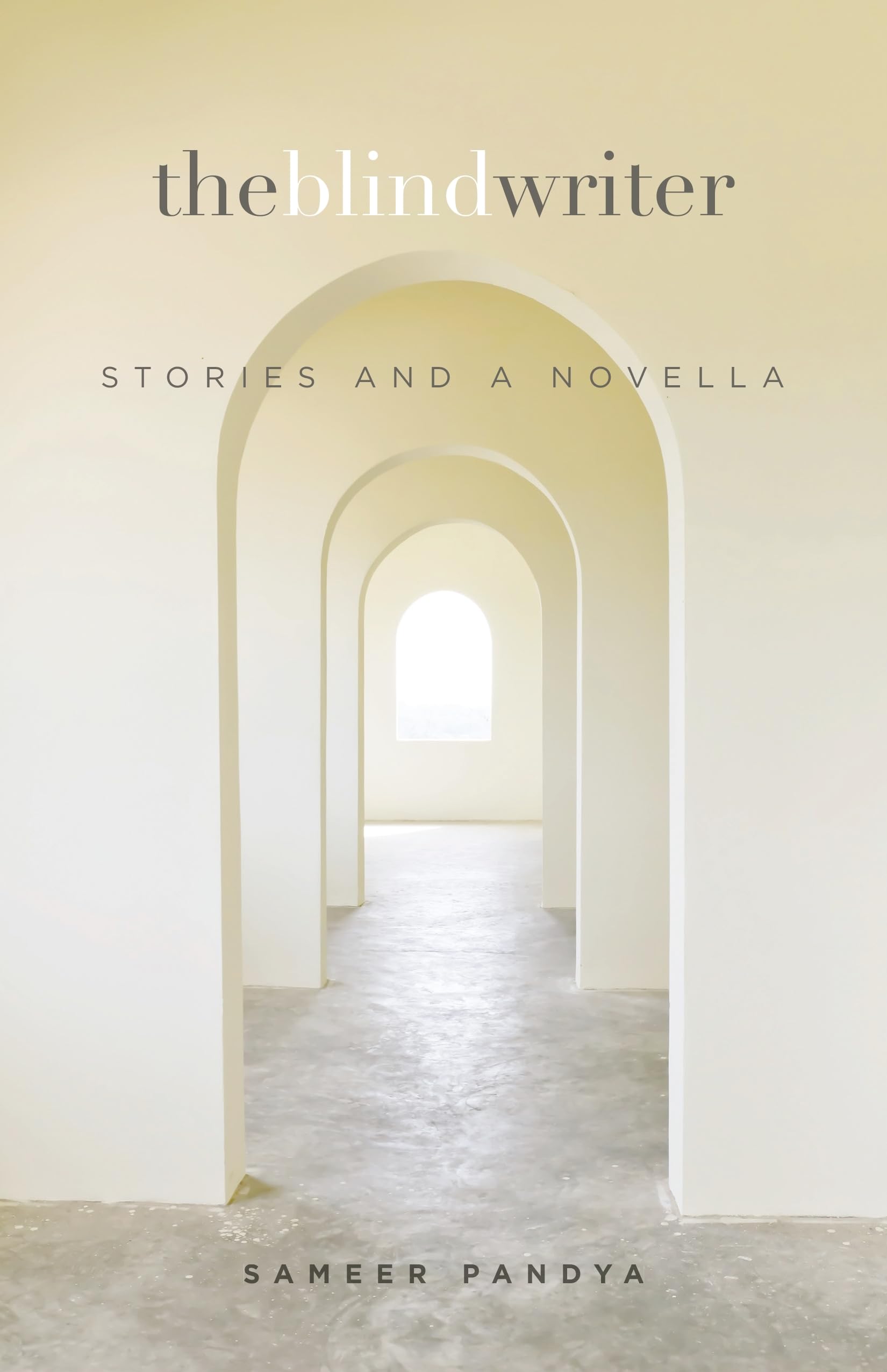 The Blind Writer: Stories and a Novella (Intersections: Asian and Pacific American Transcultural Studies, 27),Used