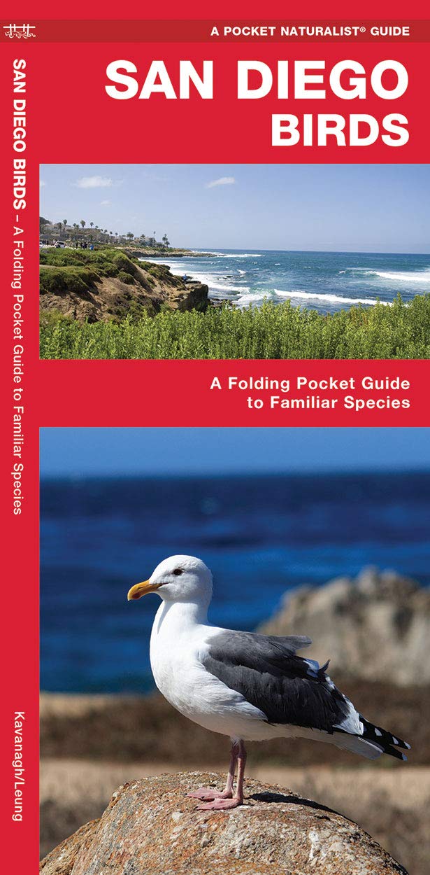 San Diego Birds: A Folding Pocket Guide To Familiar Species (A Pocket Naturalist Guide)