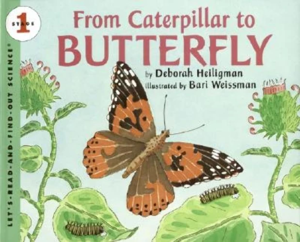 From Caterpillar to Butterfly Big Book (Let'sReadandFindOut Science 1),Used