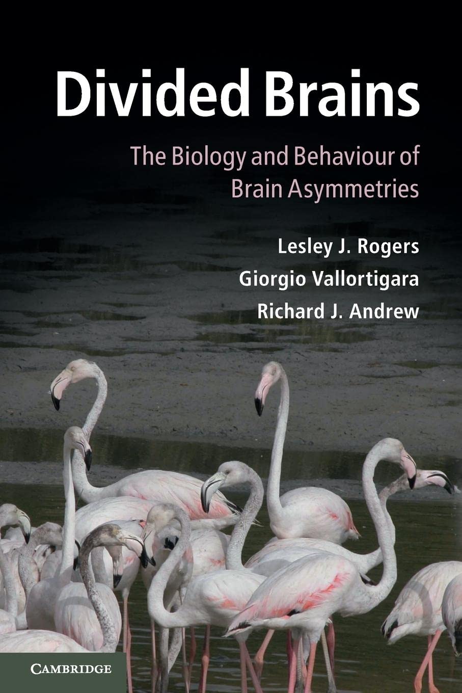 Divided Brains: The Biology and Behaviour of Brain Asymmetries,Used