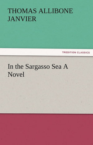 In the Sargasso Sea a Novel,Used
