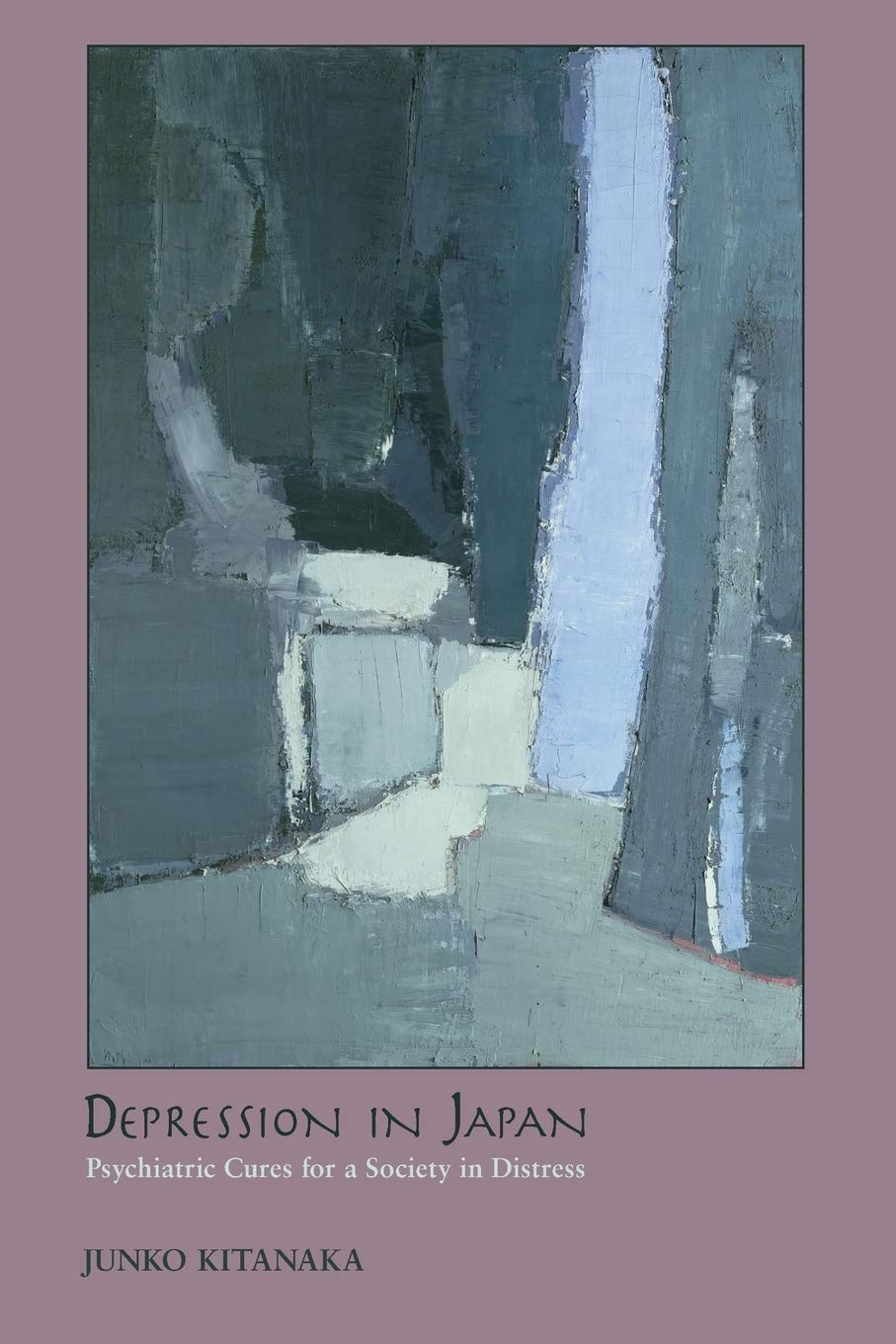 Depression in Japan: Psychiatric Cures for a Society in Distress,Used