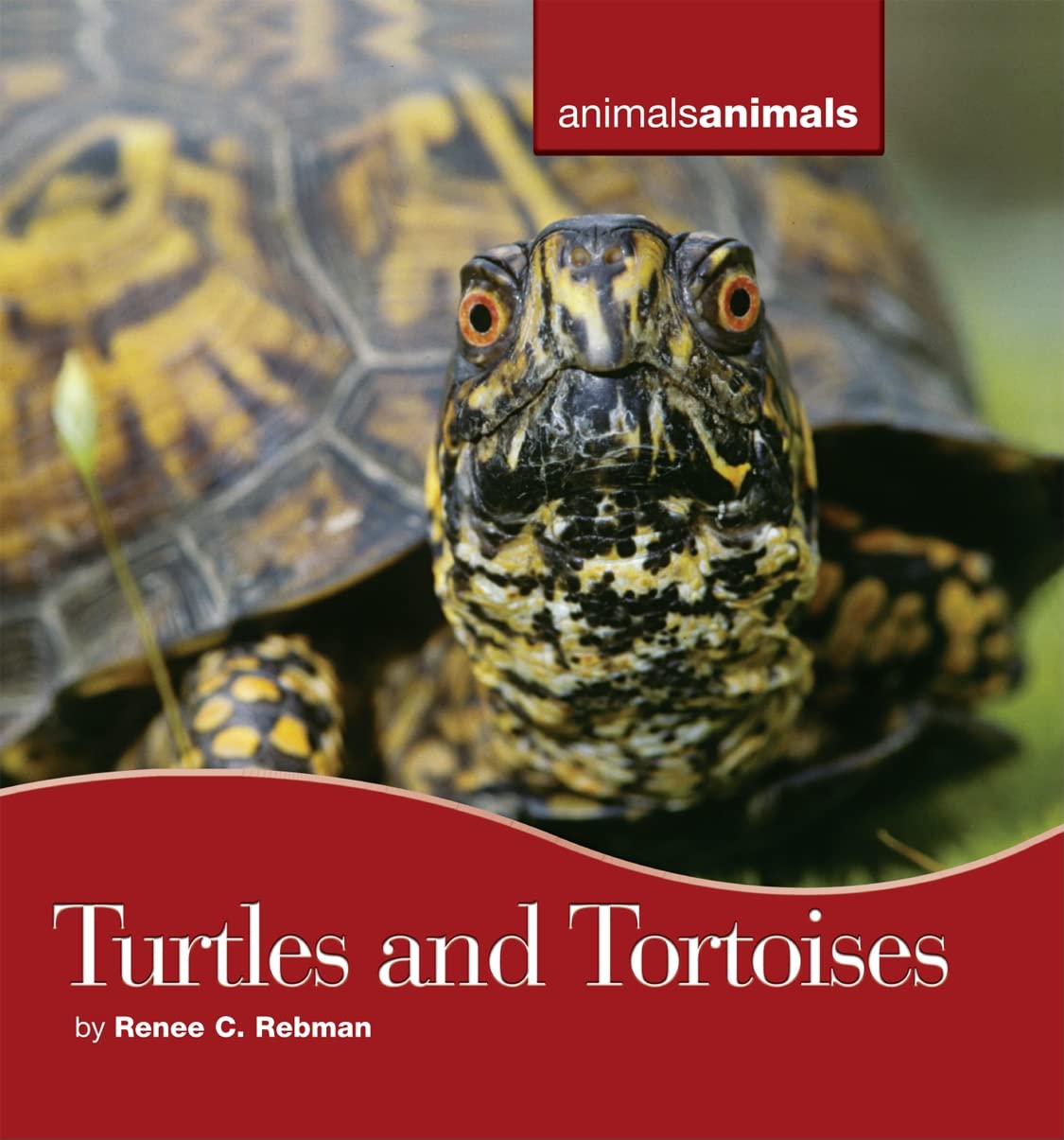 Turtles And Tortoises (Animals Animals),Used
