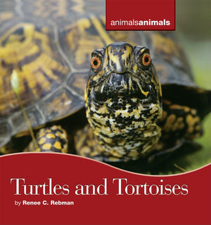 Turtles And Tortoises (Animals Animals),Used