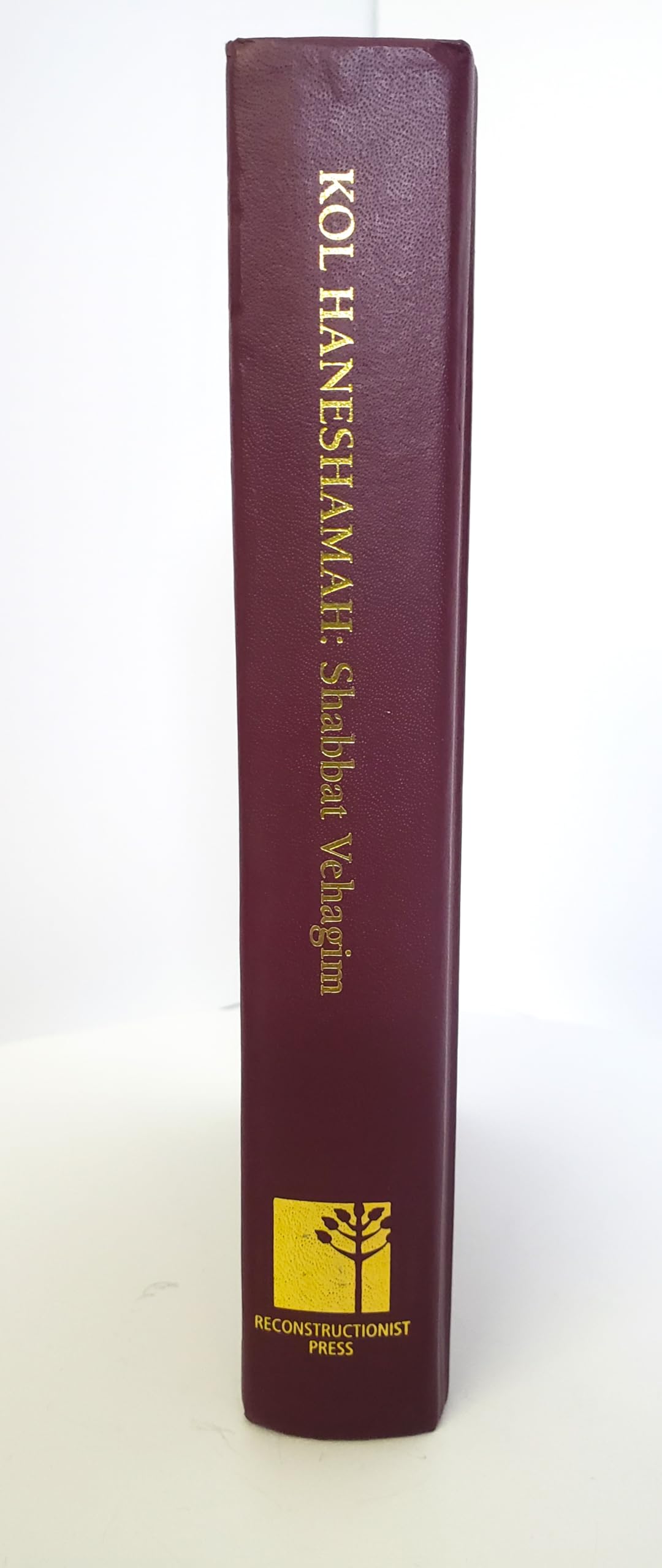 Kol Haneshamah: Shabbat Vehagim (Hebrew and English Edition),Used