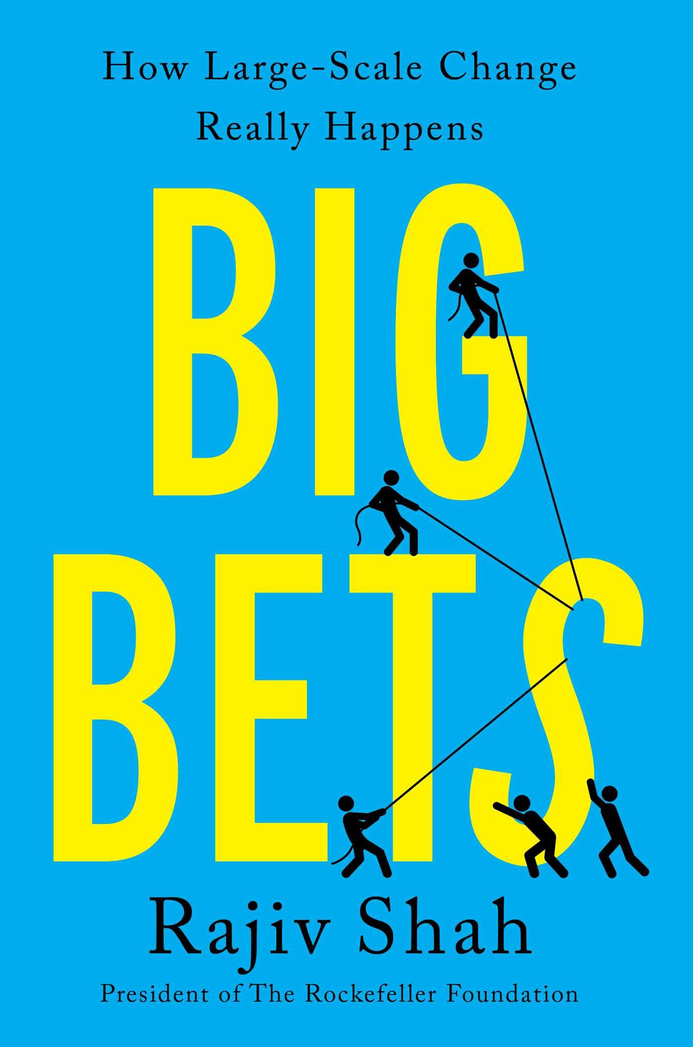 Big Bets: How LargeScale Change Really Happens,New