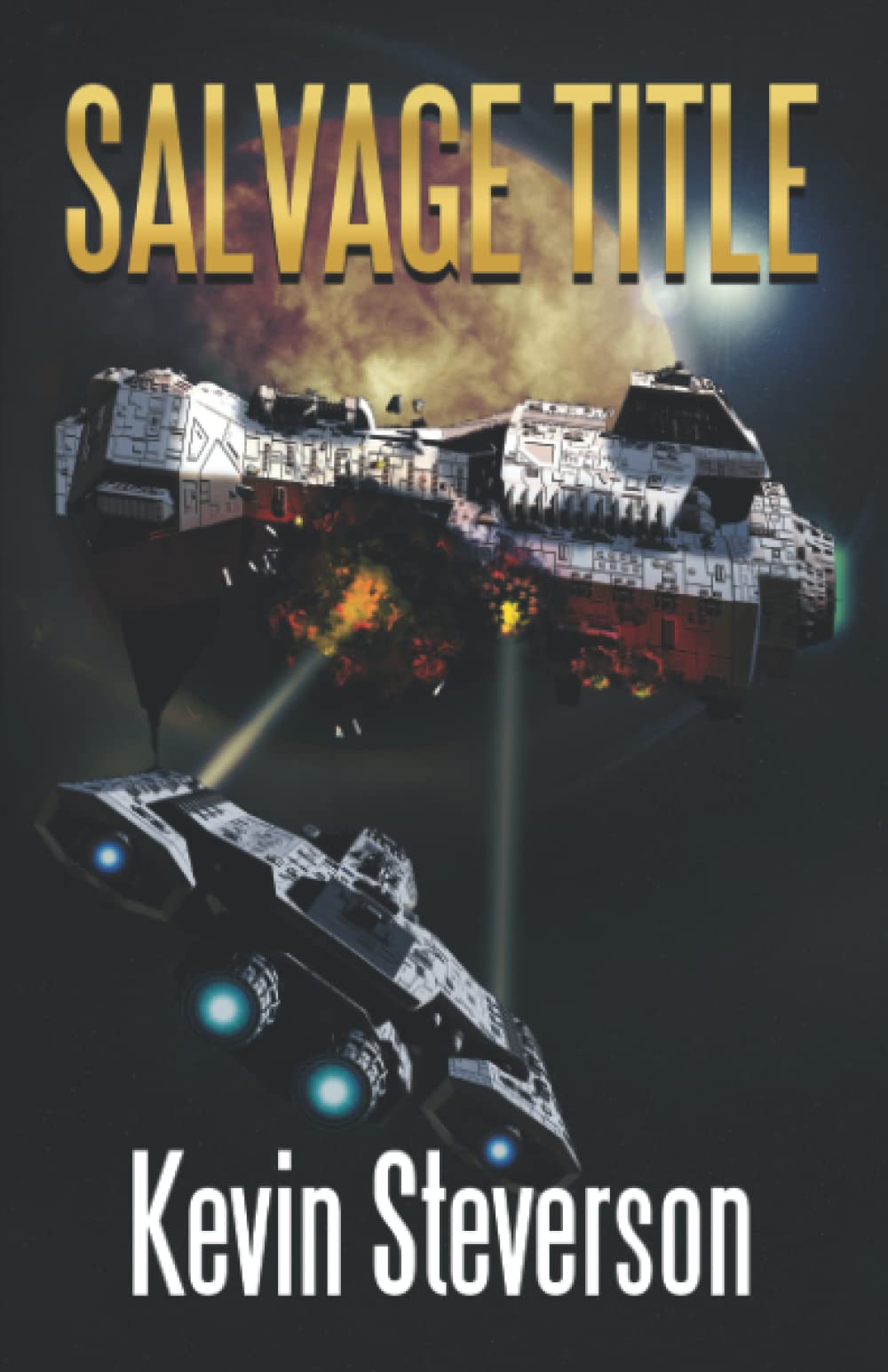 Salvage Title (The Salvage Title Trilogy),Used