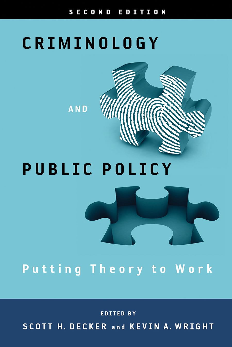 Criminology and Public Policy: Putting Theory to Work: Putting Theory to Work,Used