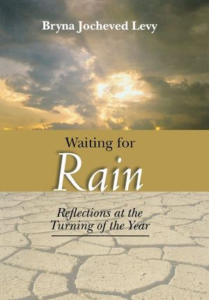 Waiting for Rain: Reflections at the Turning of the Year,Used