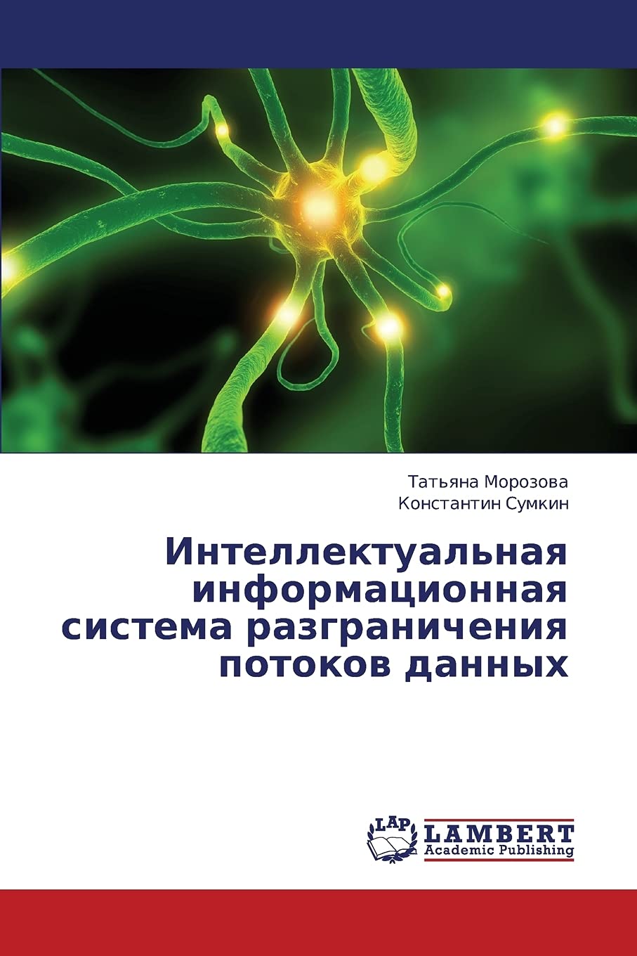Intellektual'naya informatsionnaya sistema razgranicheniya potokov dannykh (Russian Edition),Used