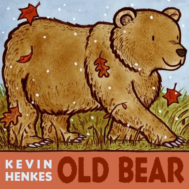 Old Bear,Used
