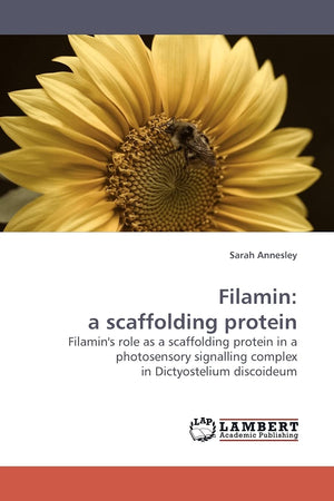 Filamin: a scaffolding protein: Filamin's role as a scaffolding protein in a photosensory signalling complex in Dictyostelium di,Used