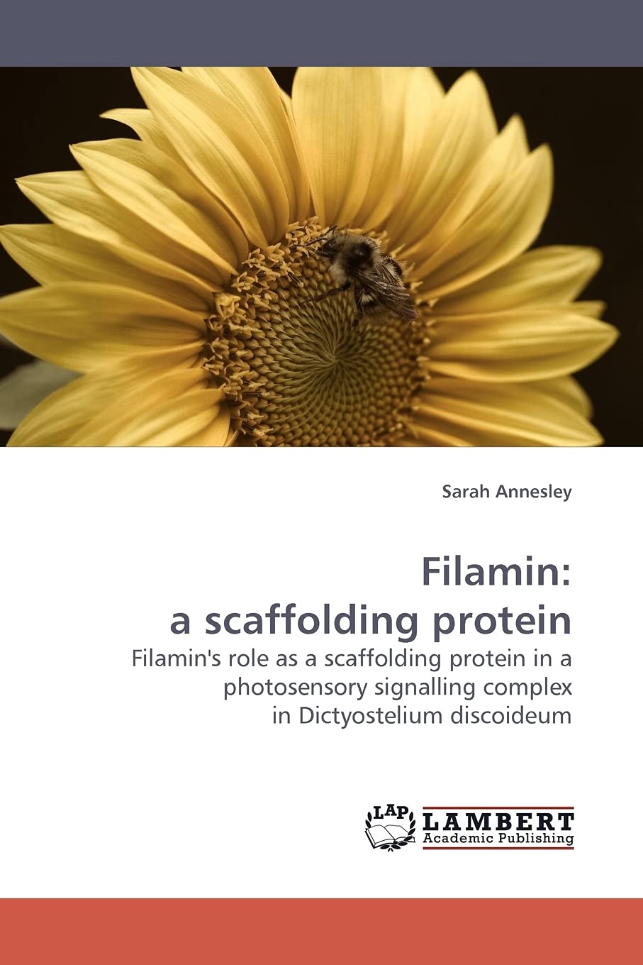 Filamin: a scaffolding protein: Filamin's role as a scaffolding protein in a photosensory signalling complex in Dictyostelium di,Used